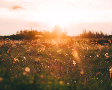 A journey of a thousand miles begins with a single step